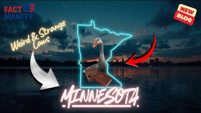 Weird laws in Minnesota explained with strange and confusing state rules