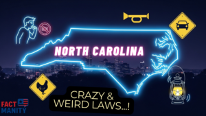 weird laws in North Carolina illustrated with glowing state map and quirky law icons