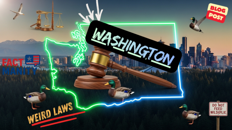 Weird laws in Washington illustrated with neon state map and wildlife theme